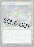 【JPN】ブランチウッドの鎧/Blanchwood Armor [MTG_FDN_0213_U]