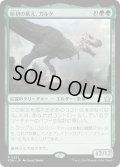 【JPN】原初の飢え、ガルタ/Ghalta, Primal Hunger [MTG_FDN_0222_R]