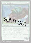 【JPN】ネシアンの角甲虫/Nessian Hornbeetle [MTG_FDN_0229_U]