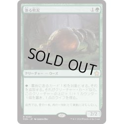 画像1: 【JPN】漁る軟泥/Scavenging Ooze [MTG_FDN_0232_R]