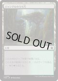 【JPN】ジャングルのうろ穴/Jungle Hollow [MTG_FDN_0263_C]