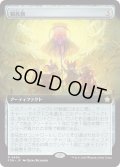 【JPN】親族旗/Banner of Kinship [MTG_FDN_0484_R]