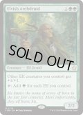 【ENG】エルフの大ドルイド/Elvish Archdruid [MTG_FDN_0219_R]