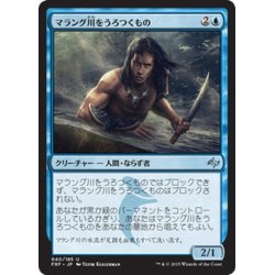 画像1: 【JPN】マラング川をうろつくもの/Marang River ProwlerMTG_FRF_040U]