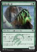 【JPN】荒野の囁く者/Whisperer of the WildsMTG_FRF_144C]