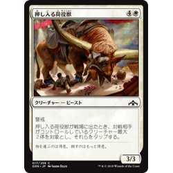 画像1: 【JPN】押し入る荷役獣/Intrusive Packbeast[MTG_GRN_017C]