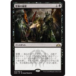 画像1: 【JPN】霊廟の秘密/Mausoleum Secrets[MTG_GRN_075R]