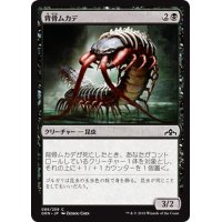 【JPN】背骨ムカデ/Spinal Centipede[MTG_GRN_086C]