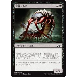 画像1: 【JPN】背骨ムカデ/Spinal Centipede[MTG_GRN_086C]