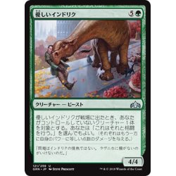 画像1: 【JPN】優しいインドリク/Affectionate Indrik[MTG_GRN_121U]