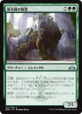 【JPN】樹木園の精霊/Arboretum Elemental[MTG_GRN_122U]