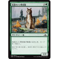 【JPN】気前のいい野良猫/Generous Stray[MTG_GRN_129C]