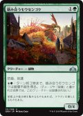 【JPN】絡み合うモウセンゴケ/Grappling Sundew[MTG_GRN_131U]