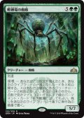 【JPN】孵卵場の蜘蛛/Hatchery Spider[MTG_GRN_132R]