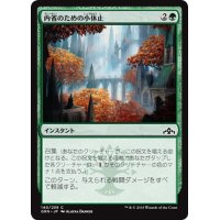 【JPN】内省のための小休止/Pause for Reflection[MTG_GRN_140C]