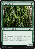 【JPN】落とし格子の蔦/Portcullis Vine[MTG_GRN_142C]