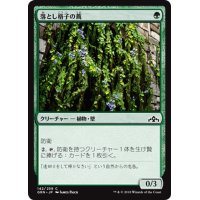 【JPN】落とし格子の蔦/Portcullis Vine[MTG_GRN_142C]