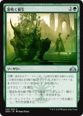 【JPN】芽吹く更生/Sprouting Renewal[MTG_GRN_145U]