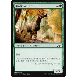 画像1: 【JPN】用心深いオカピ/Wary Okapi[MTG_GRN_149C]