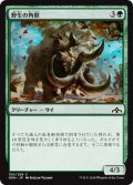 【JPN】野生の角獣/Wild Ceratok[MTG_GRN_150C]