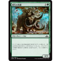 【JPN】野生の角獣/Wild Ceratok[MTG_GRN_150C]