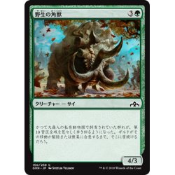 画像1: 【JPN】野生の角獣/Wild Ceratok[MTG_GRN_150C]