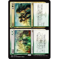 画像1: 【JPN】確立/確証/Assemble/Assure[MTG_GRN_221R]