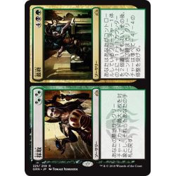 画像1: 【JPN】採取/最終/Find/Finality[MTG_GRN_225R]