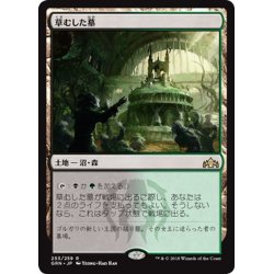 画像1: 【JPN】草むした墓/Overgrown Tomb[MTG_GRN_253R]