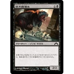 画像1: 【JPN】排水路潜み/Gutter Skulk[MTG_GTC_067C]