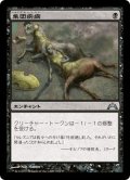 【JPN】集団疾病/Illness in the Ranks[MTG_GTC_069U]