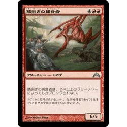 画像1: 【JPN】鱗剥ぎの捕食者/Ripscale Predator[MTG_GTC_103U]