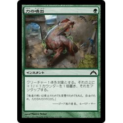 画像1: 【JPN】力の噴出/Burst of Strength[MTG_GTC_115C]