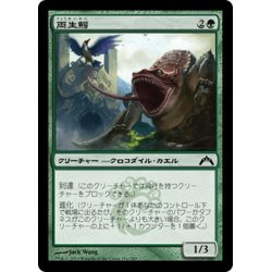 画像1: 【JPN】両生鰐/Crocanura[MTG_GTC_116C]