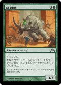 【JPN】冠角獣/Crowned Ceratok[MTG_GTC_117U]