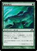 【JPN】強制順応/Forced Adaptation[MTG_GTC_120C]