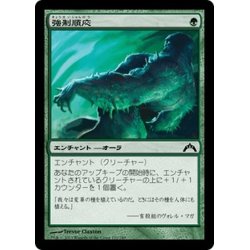 画像1: 【JPN】強制順応/Forced Adaptation[MTG_GTC_120C]