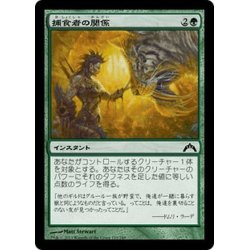 画像1: 【JPN】捕食者の関係/Predator's Rapport[MTG_GTC_129C]