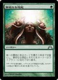 【JPN】静寂なる想起/Serene Remembrance[MTG_GTC_132U]