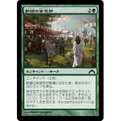 画像1: 【JPN】新緑の安息所/Verdant Haven[MTG_GTC_138C]