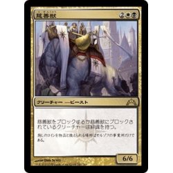 画像1: 【JPN】慈善獣/Alms Beast[MTG_GTC_141R]