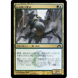 画像1: 【JPN】シュラバザメ/Shambleshark[MTG_GTC_193C]