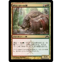 画像1: 【JPN】ザル＝ターの豚/Zhur-Taa Swine[MTG_GTC_210C]