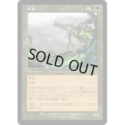 画像1: 【JPN】忍耐/Endurance[MTG_H2R_0014_M]