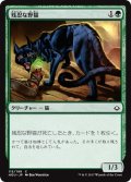 【JPN】残忍な野猫/Feral Prowler[HOU_115C]