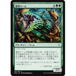 画像1: 【JPN】選別ワーム/Sifter Wurm[HOU_135U]