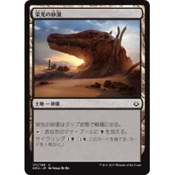 画像1: 【JPN】栄光の砂漠/Desert of the Glorified[HOU_171C]