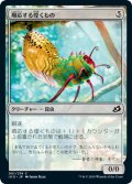 【JPN】順応する煌くもの/Adaptive Shimmerer[MTG_IKO_001C]