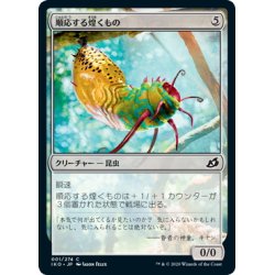 画像1: 【JPN】順応する煌くもの/Adaptive Shimmerer[MTG_IKO_001C]