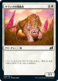 【JPN】サヴァイの剣歯虎/Savai Sabertooth[MTG_IKO_029C]